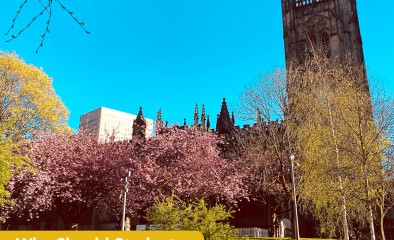 Why Should Students Study in Manchester?