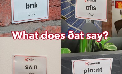 The Story of Phonetics